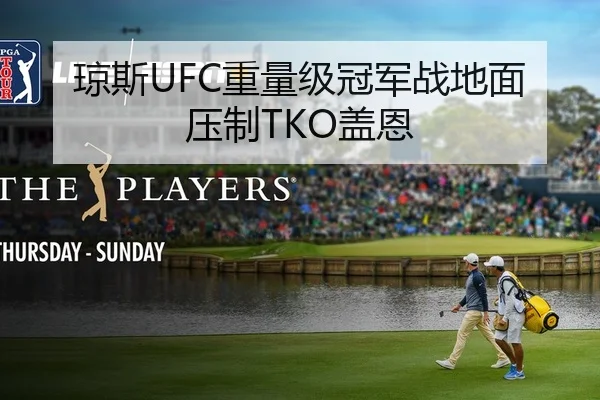 琼斯UFC重量级冠军战地面压制TKO盖恩